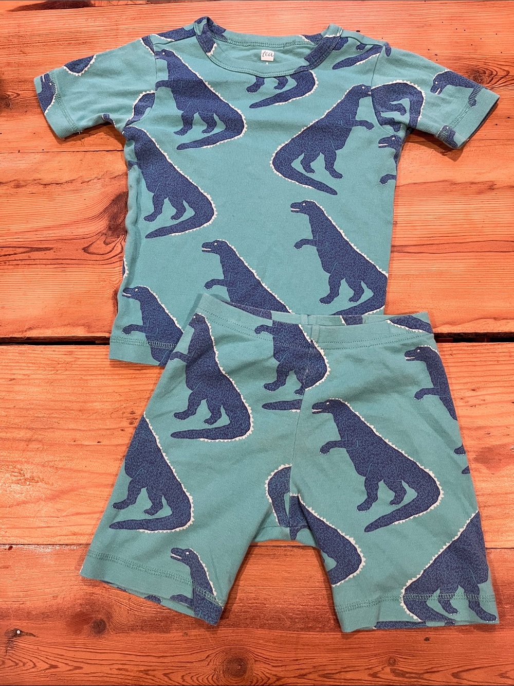 Set/2 TEA COLLECTION 5 Blue Turquoise T-Rex Dinosaur Printed Pajamas